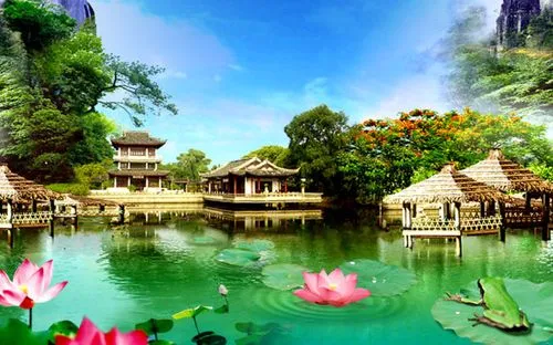 稳定性先进全自动
